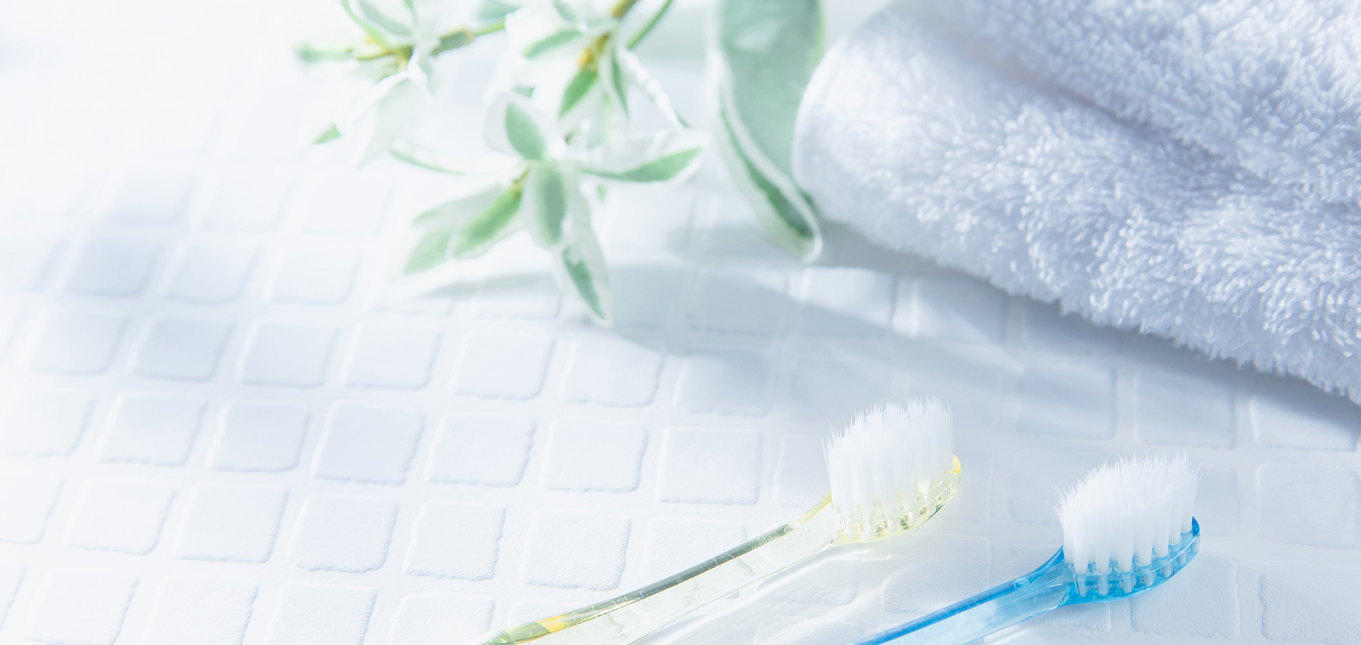 メインビジュアル